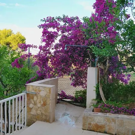 Apartment Daniel Bilocale Nr 1 Vieste
